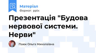 Презентація "Будова нервової системи. Нерви"