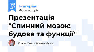 Презентація "Спинний мозок: будова та функції"