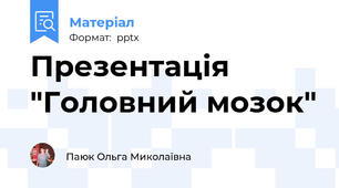 Презентація "Головний мозок"