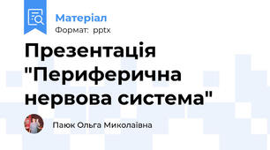 Презентація "Периферична нервова система"