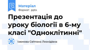 Презентація до уроку біології в 6-му класі "Одноклітинні"