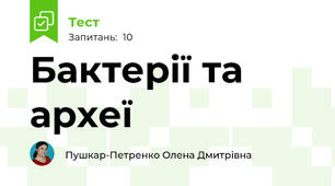 Бактерії та археї