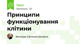 Принципи функціонування клітини