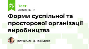 Форми суспільної та просторової організації виробництва