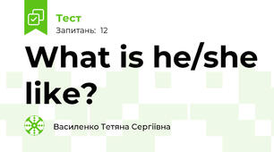 What is he/she like?