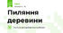 Пиляння деревини