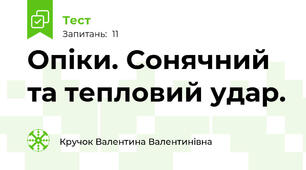 Опіки. Сонячний та тепловий удар. 