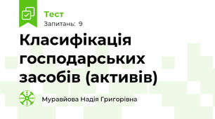 Класифікація господарських засобів (активів)