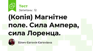 (Копія) Магнітне поле. Сила Ампера, сила Лоренца.
