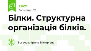 Білки. Структурна організація білків.