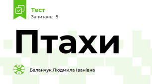 Птахи