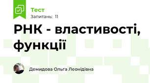 РНК - властивості, функції