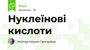 Нуклеїнові кислоти