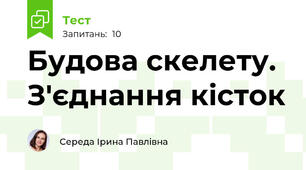 Будова скелету. З'єднання кісток