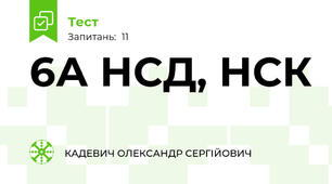6А НСД, НСК