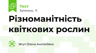 Різноманітність квіткових рослин