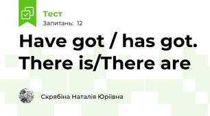  Have got / has got. There is/There are