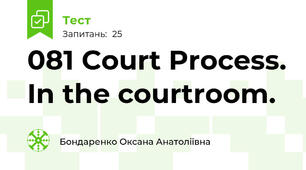 081 Court Process. In the courtroom. 