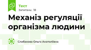 Механіз регуляції організма людини