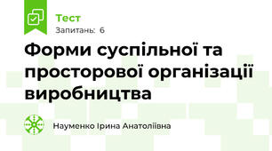 Форми суспільної та просторової організації виробництва