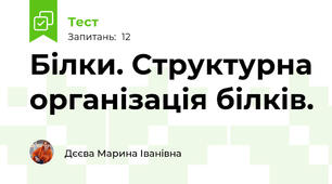 Білки. Структурна організація білків.