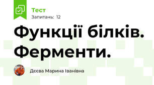 Функції білків. Ферменти.