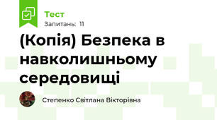 (Копія) Безпека в навколишньому середовищі
