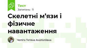 Скелетні м’язи і фізичне навантаження