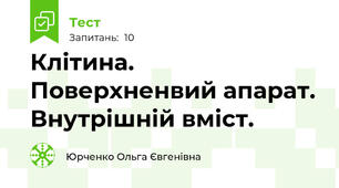 Клітина. Поверхненвий апарат. Внутрішній вміст.