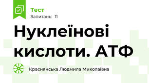 Нуклеїнові кислоти. АТФ