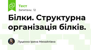  Білки. Структурна організація білків.