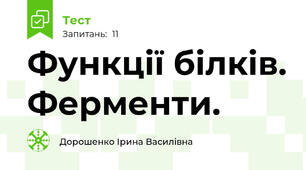 Функції білків. Ферменти.