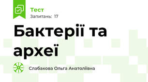  Бактерії та археї