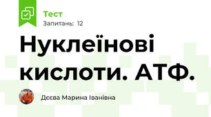 Нуклеїнові кислоти. АТФ.