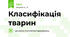 Класифікація тварин