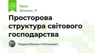 Просторова структура світового господарства