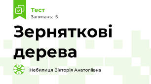 Зерняткові дерева