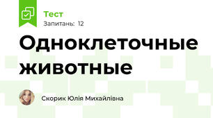Одноклеточные животные
