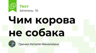 Чим корова не собака