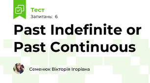 Past Indefinite or Past Continuous