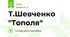 Т.Шевченко "Тополя"