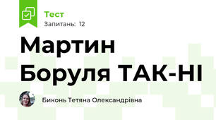 Мартин Боруля ТАК-НІ