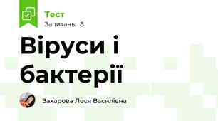 Віруси і бактерії