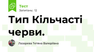 Тип Кільчасті черви.