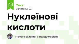 Нуклеїнові кислоти