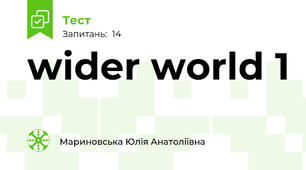 wider world 1