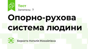 Опорно-рухова система людини