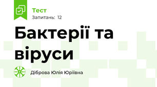 Бактерії та віруси