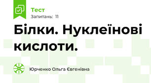 Білки. Нуклеїнові кислоти.