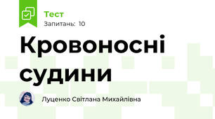 Кровоносні судини
